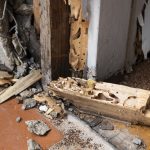 vice caché : termites et fissures