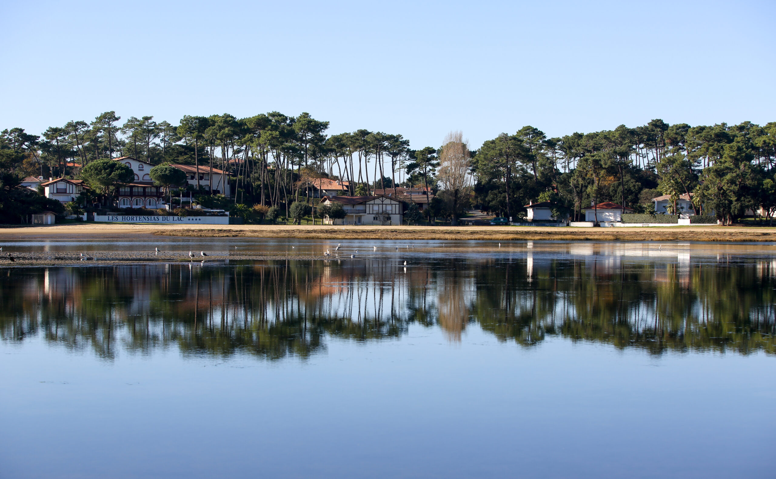 Les prix immobilier : reprise ou ralentissement ? les-prix-immobilier-reprise-ou-ralentissement