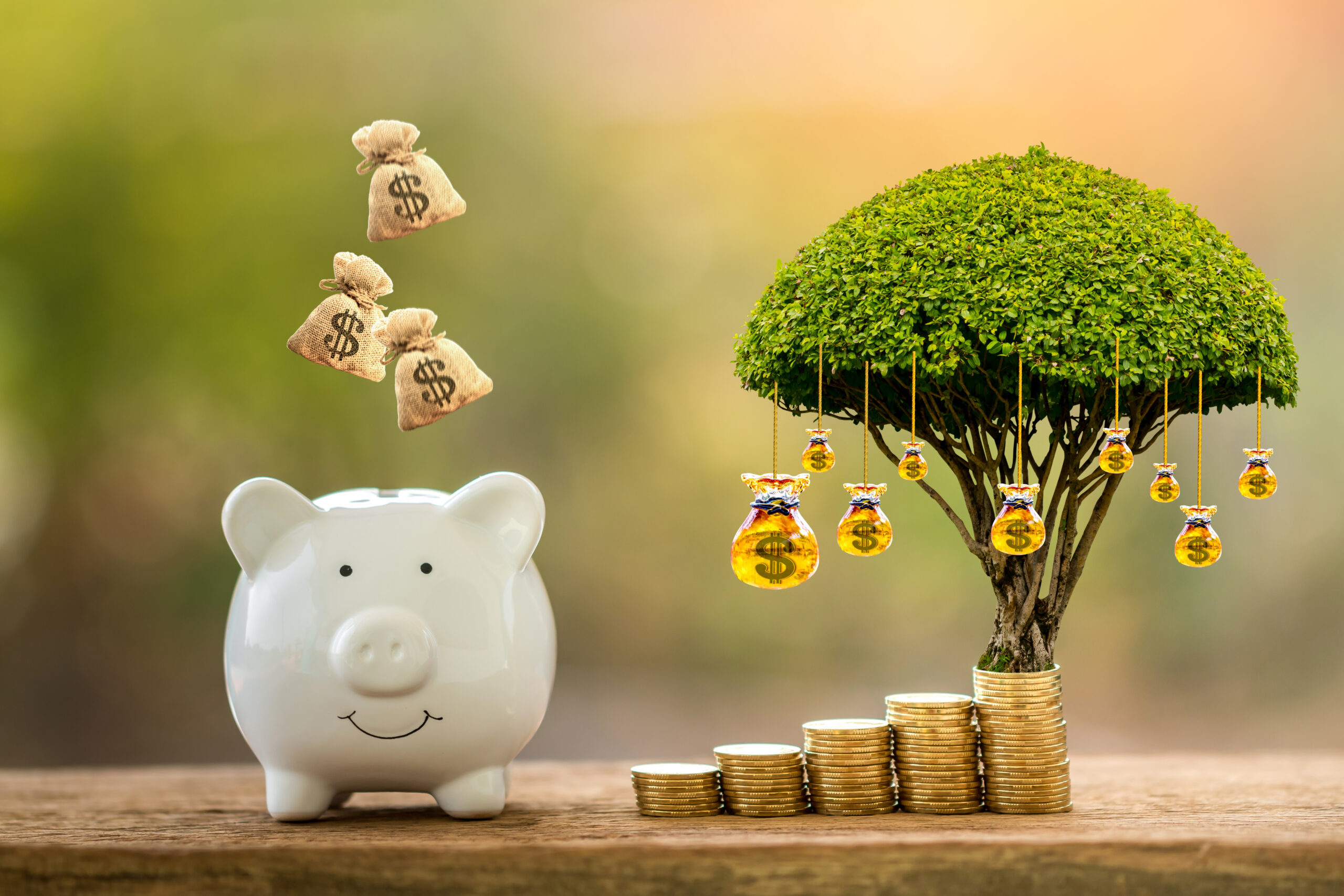 Investissement : dans quels quartiers investir cette année ? Investissement ?