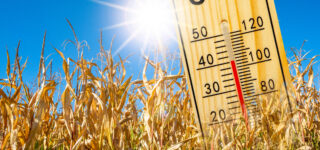 canicule et logement (image : adobe stock)