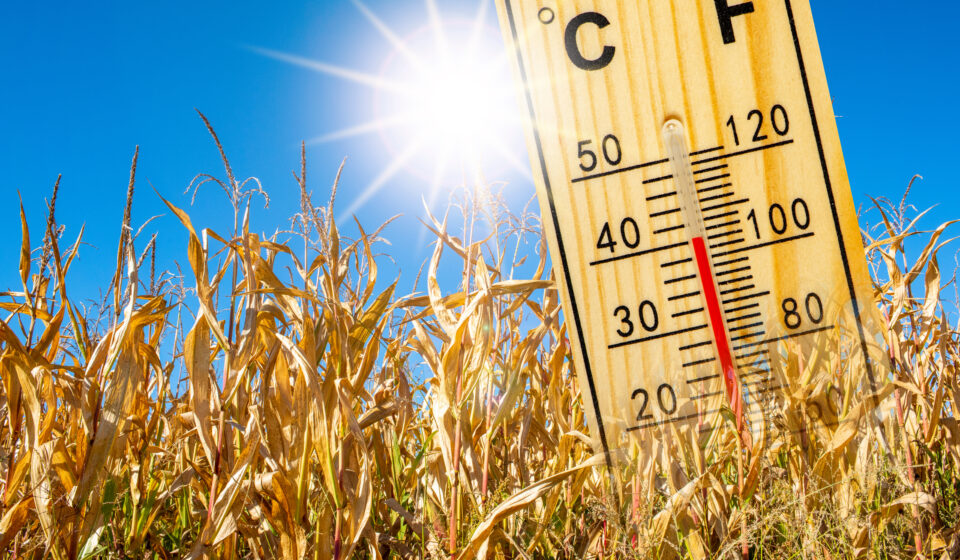 Canicule : ces équipements qui pourraient devenir obligatoires dans votre logement canicule et logement (image : adobe stock)