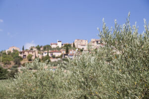 acheter-alentours-marseille-2025