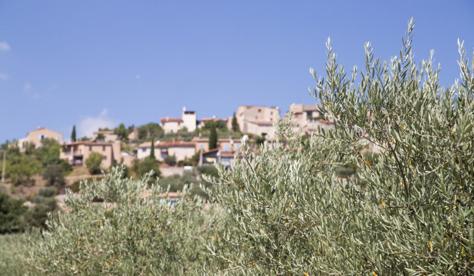 acheter-alentours-marseille-2025