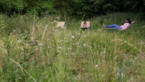 Réaménagement urbain d’un terrain en friche dans le cadre de la loi ZAN et de la stratégie foncière 2025.