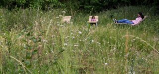 Réaménagement urbain d’un terrain en friche dans le cadre de la loi ZAN et de la stratégie foncière 2025.