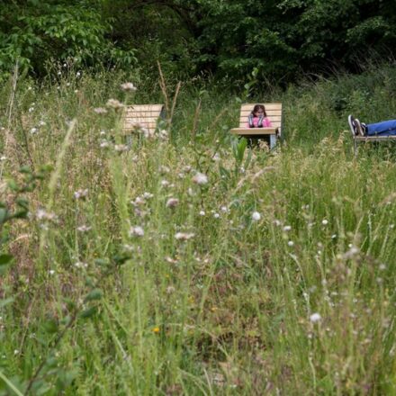 Foncier 2025 : comment la France repense la gestion de ses terrains Réaménagement urbain d’un terrain en friche dans le cadre de la loi ZAN et de la stratégie foncière 2025.
