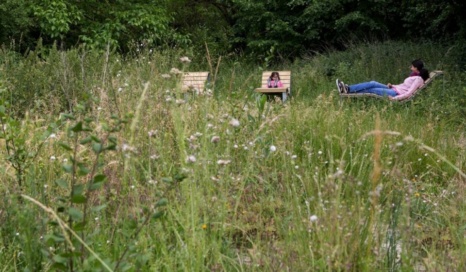 Foncier 2025 : comment la France repense la gestion de ses terrains Réaménagement urbain d’un terrain en friche dans le cadre de la loi ZAN et de la stratégie foncière 2025.