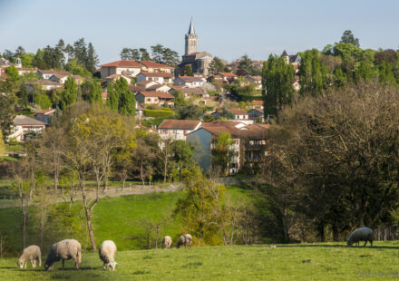 Lentilly en 2026 : la transition verte entre ouest lyonnais et Beaujolais résidentiel acheter-maison-lentilly-prix-immobilier-2026 lesiteimmo
