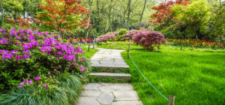 transformation-jardin-classique-espace-design- lesiteimmo