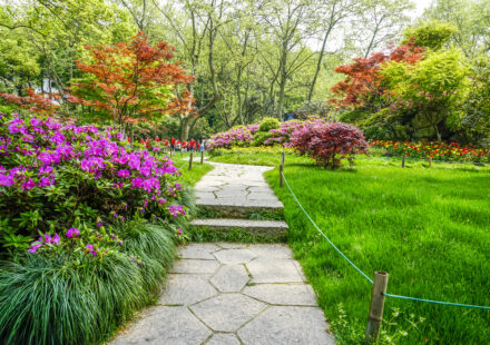 Avant / après : transformation d’un jardin classique en espace design transformation-jardin-classique-espace-design- lesiteimmo