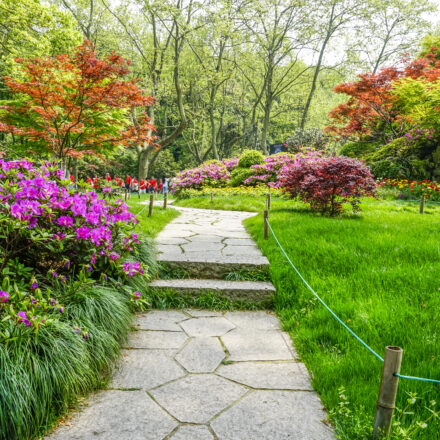 transformation-jardin-classique-espace-design- lesiteimmo