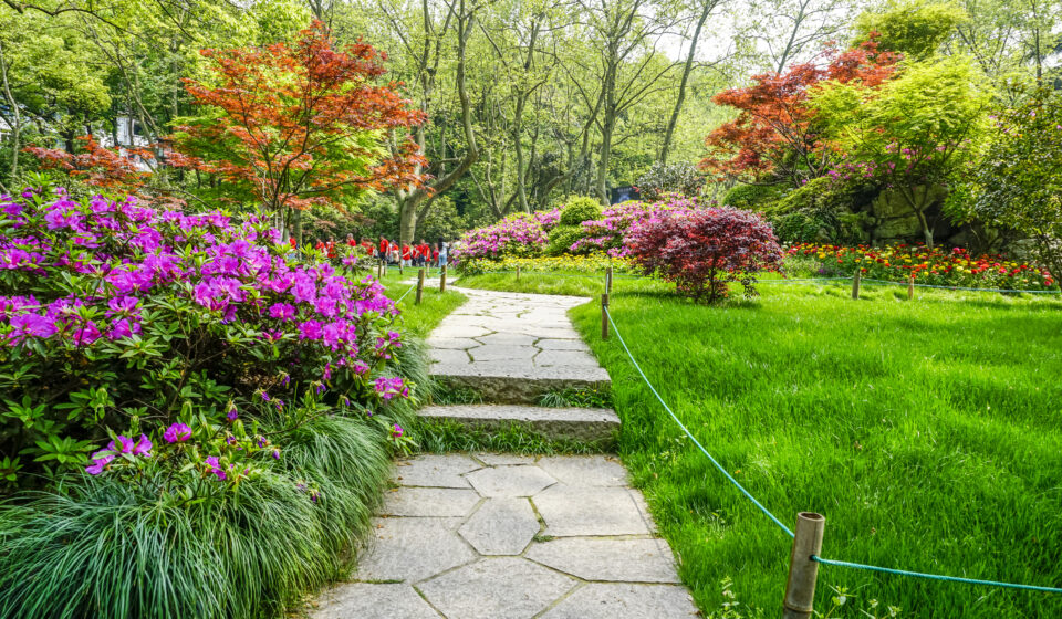 transformation-jardin-classique-espace-design- lesiteimmo