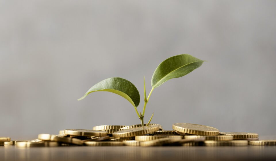 investir-immobilier-2026-strategie-lesiteimmo