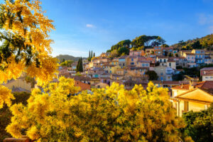 bormes-mimosas-lesiteimmo