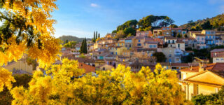 bormes-mimosas-lesiteimmo