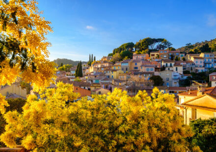 Villages de France : ces villages français où juin devient le plus beau mois de l’année bormes-mimosas-lesiteimmo