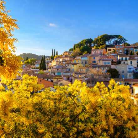Villages de France : ces villages français où juin devient le plus beau mois de l’année bormes-mimosas-lesiteimmo