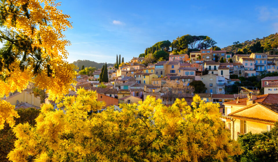 Villages de France : ces villages français où juin devient le plus beau mois de l’année bormes-mimosas-lesiteimmo