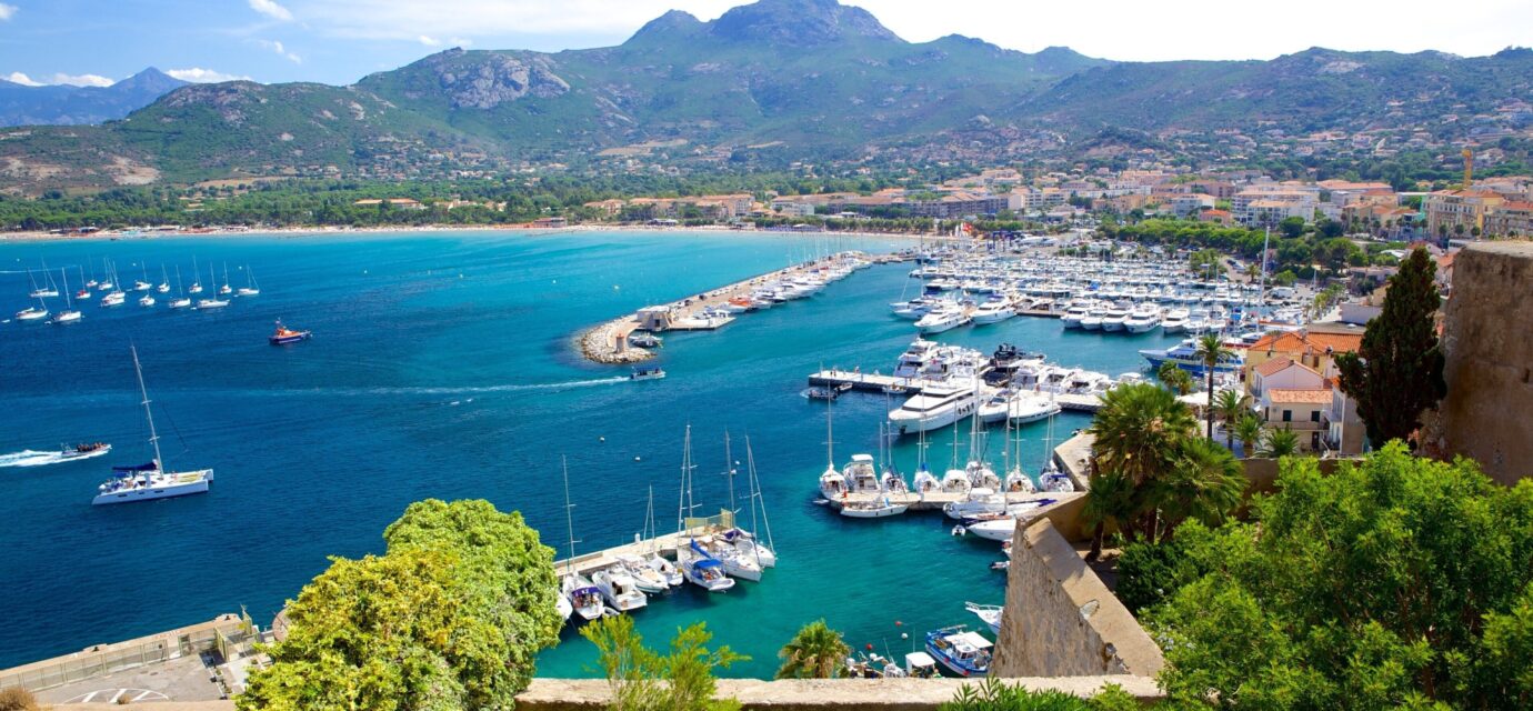 Immobilier à Calvi en 2026 : pourquoi cette ville corse attire toujours autant les acheteurs ? calvi -lesiteimmo