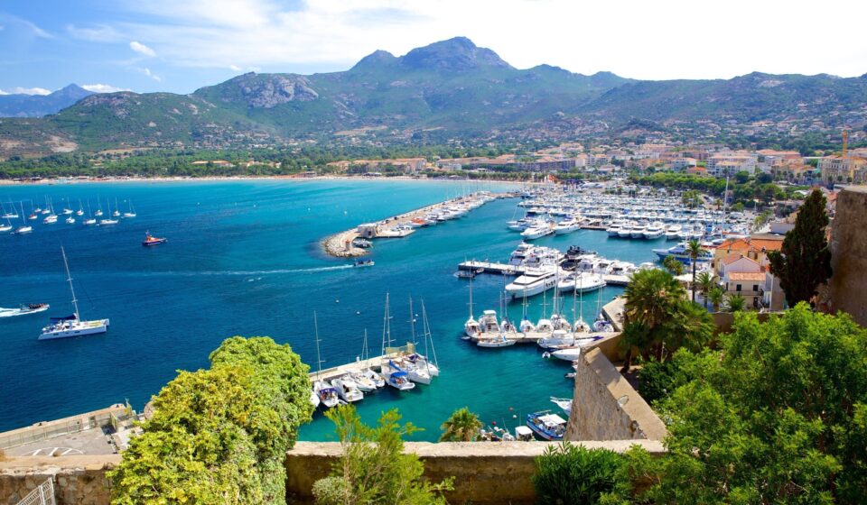 Immobilier à Calvi en 2026 : pourquoi cette ville corse attire toujours autant les acheteurs ? calvi -lesiteimmo